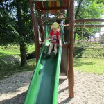 phoca_thumb_m_vlet kunn 9 Fotogalerie